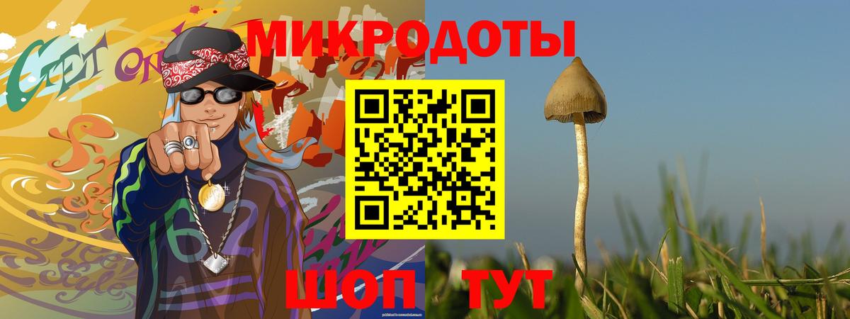 Псилоцибиновые грибы Cubensis Ярцево