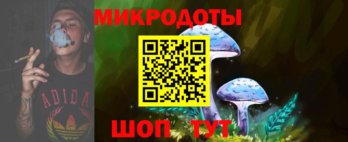 Ярцево  Псилоцибиновые грибы Psilocybine cubensis  Вход с VPN 